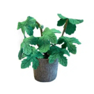 Kidsdepot Kunstplant Ficus Carica