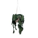 Kidsdepot Kunstplant Philo