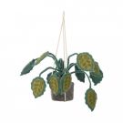 KidsDepot hangplant Big Leaves online kopen? | BabyPlanet