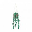 KidsDepot hangplant Hedera Felix online kopen? | BabyPlanet