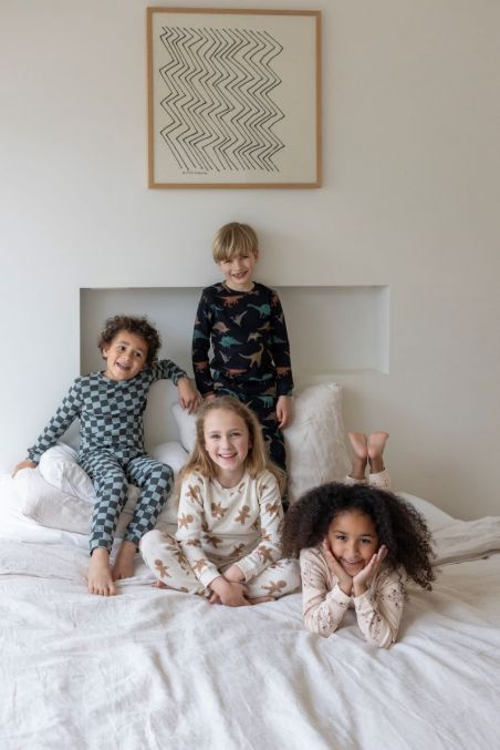 Feetje Pyjama Premium Sleepwear Davy Dino Antraciet online kopen BabyPlanet