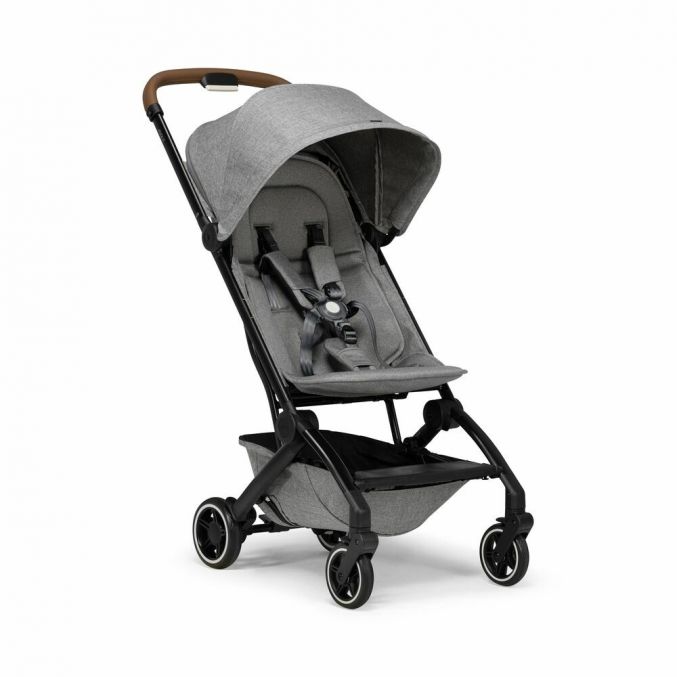 Buggy grey 2025