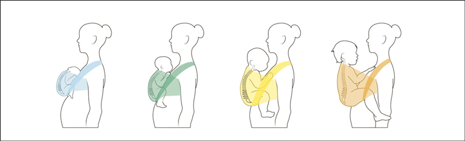 Wat is ergonomisch dragen?